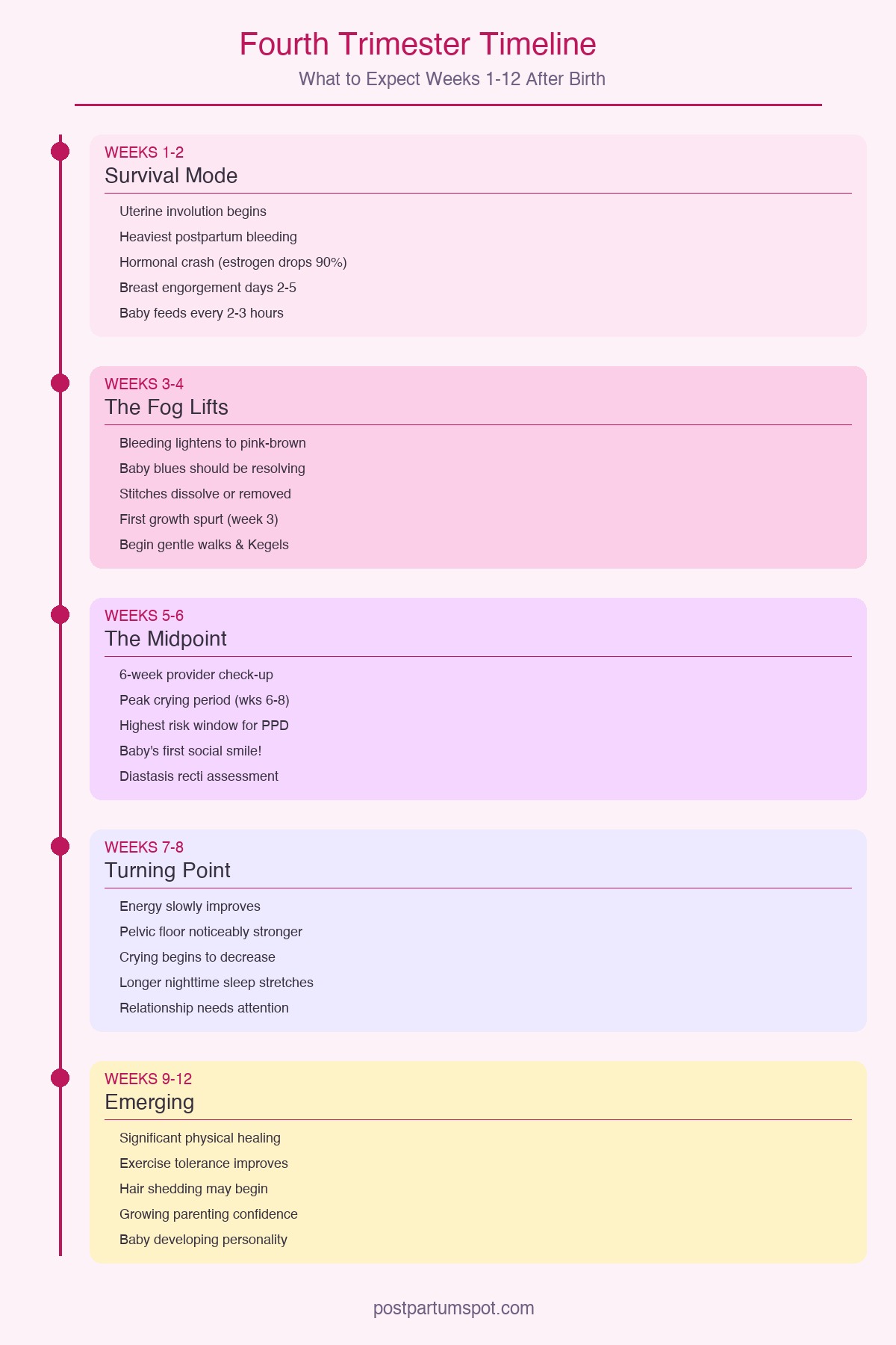 Fourth trimester week-by-week timeline infographic