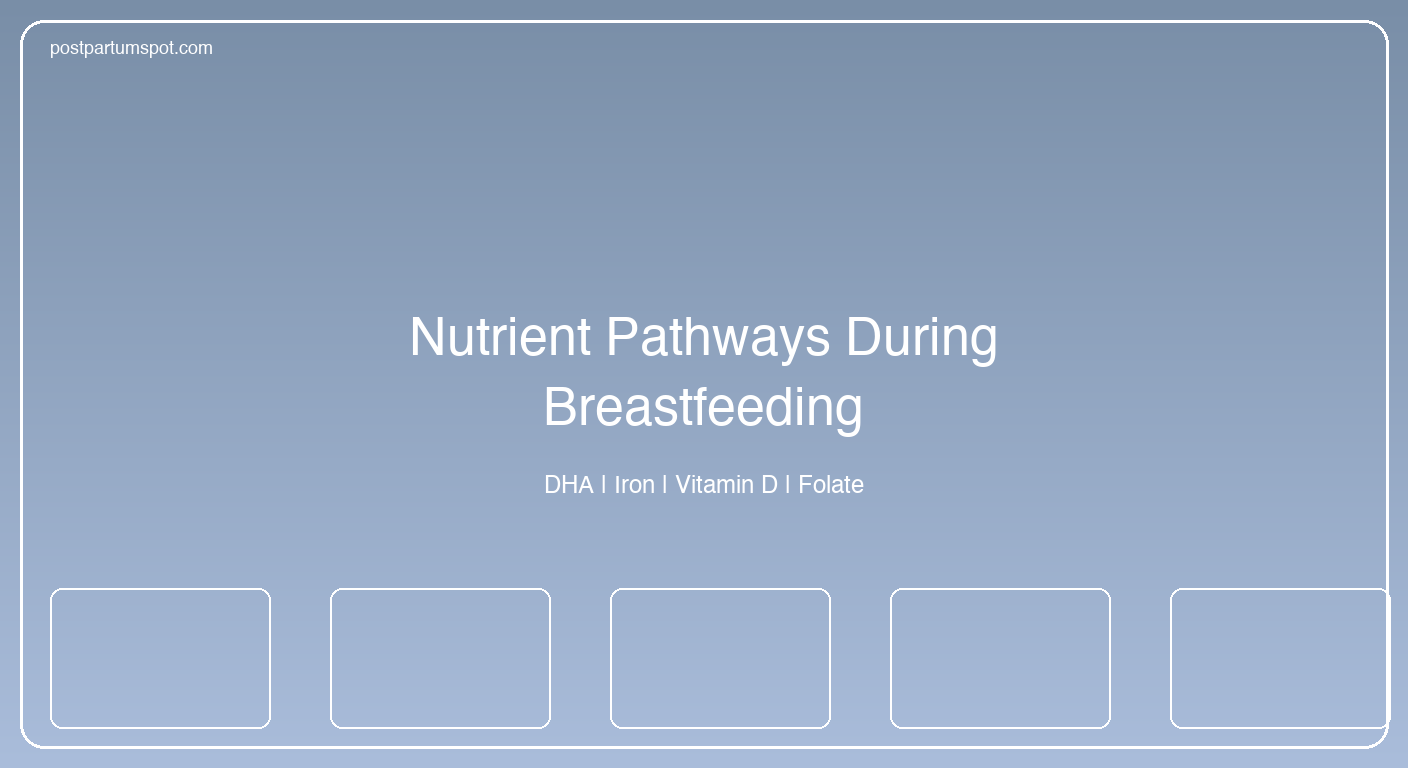Medical infographic illustrating DHA, iron, vitamin D, and folate pathways during breastfeeding and postpartum recovery